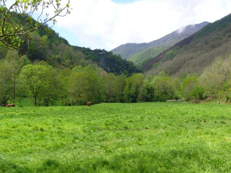 Casa Muniellos Cangas De Narcea Bagian luar foto